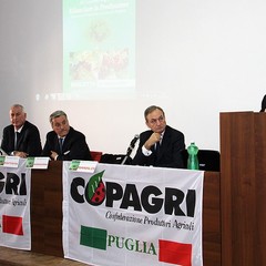 Il futuro del mondo agricolo, Barletta ospita il congresso Copagri