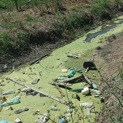 Un fiume di rifiuti ai piedi del Paraticchio di Barletta