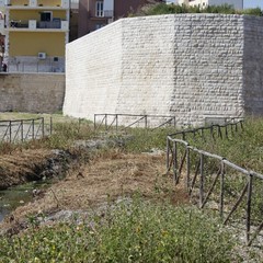 Un fiume di rifiuti ai piedi del Paraticchio di Barletta