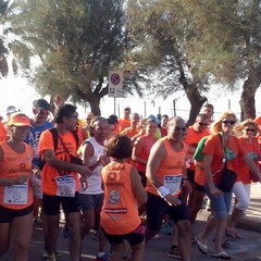 ecomaretona 2015 di corsa da barletta a trani