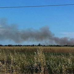 Fumo in periferia, ma si tratta di un incendio fuori città