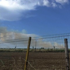Fumo in periferia, ma si tratta di un incendio fuori città
