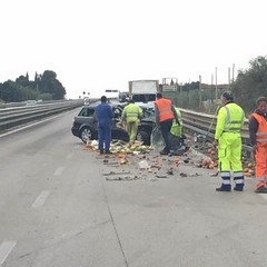 Incidente stradale tra una Volkswagen e un camion trasportante frutta