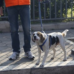 Maratona delle Cattedrali, una grande festa dello Sport