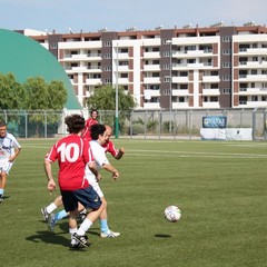 memorial italia 2015 47