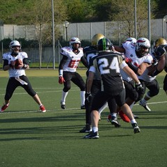 patriots bari mad bulls barletta 14 8 2