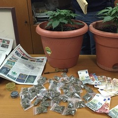 Ancora Marijuana a Barletta, operazione della Polizia