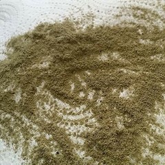 Segnalazioni di cittadini su polveri in zona Medaglie d'oro