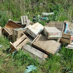 Rifiuti nelle campagne di Barletta