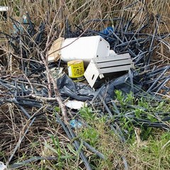 Rifiuti nelle campagne di Barletta