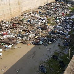 Rifiuti nelle campagne di Barletta