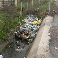 Il canale di scolo di via Minervino invaso dai rifiuti