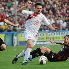 salernitana barletta 3 1 1