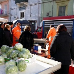 Sequestro di pesce al mercato in largo Divittorio (ex largo San Nicola) a Barletta