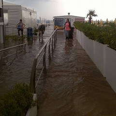 Bomba d'acqua su Barletta, crolla il muro di cinta della Timac