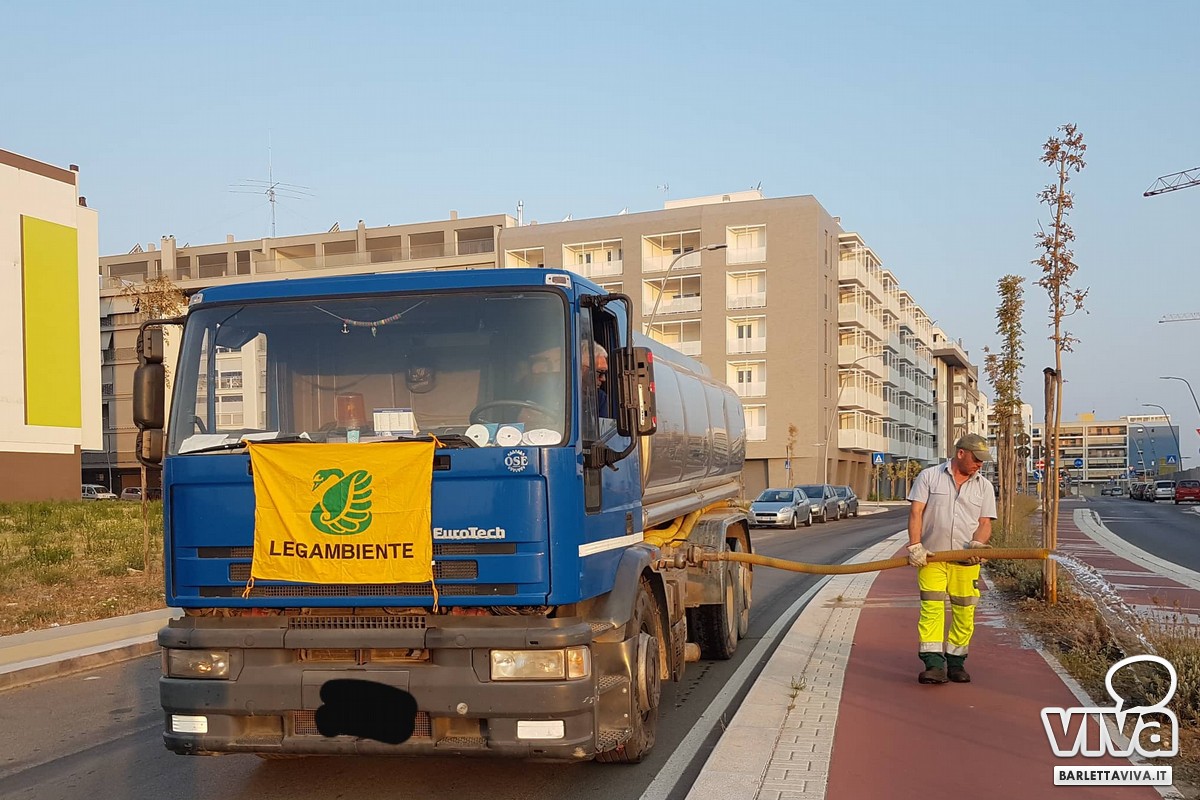 Alberi senz'acqua nella periferia di Barletta, in azione i volontari di Legambiente