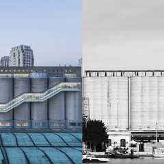 Silos di Shanghai Silos di Barletta
