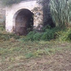 Ripulita la zona della fontana di San Ruggero