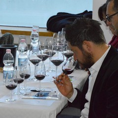 Onav: wine, passion & skill
