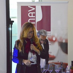 Onav: wine, passion & skill