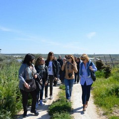 Onav: wine, passion & skill