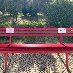 Una panchina rossa all'ospedale "Dimiccoli" di Barletta