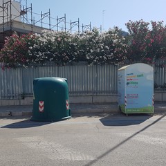 Ripulita l'area sul lungomare di Levante