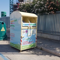 Ripulita l'area sul lungomare di Levante