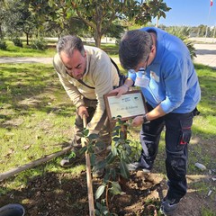 Il progetto "Un albero per la salute"