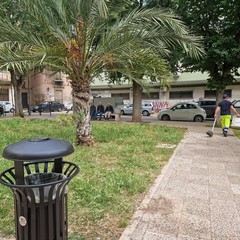 Manutenzione piazza Federico II di Svevia