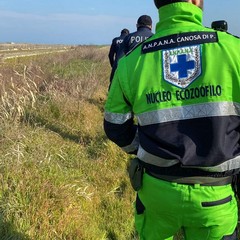 Anpana Canosa alle ricerche del giovane scomparso a Barletta