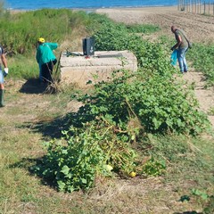 Amare la litoranea: Legambiente Barletta in prima linea per la pulizia della spiaggia