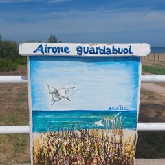 Amare la litoranea: Legambiente Barletta in prima linea per la pulizia della spiaggia