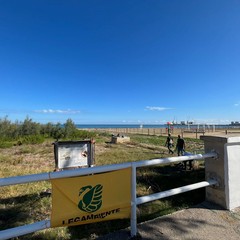 Amare la litoranea: Legambiente Barletta in prima linea per la pulizia della spiaggia