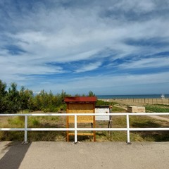 Amare la litoranea: Legambiente Barletta in prima linea per la pulizia della spiaggia