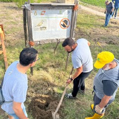 Amare la litoranea: Legambiente Barletta in prima linea per la pulizia della spiaggia