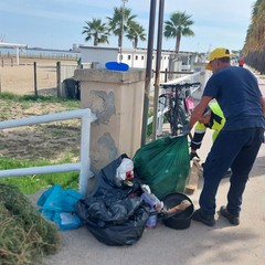 Amare la litoranea: Legambiente Barletta in prima linea per la pulizia della spiaggia