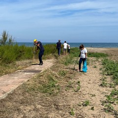 Amare la litoranea: Legambiente Barletta in prima linea per la pulizia della spiaggia