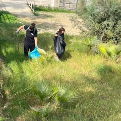 Amare la litoranea: Legambiente Barletta in prima linea per la pulizia della spiaggia