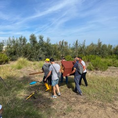 Amare la litoranea: Legambiente Barletta in prima linea per la pulizia della spiaggia