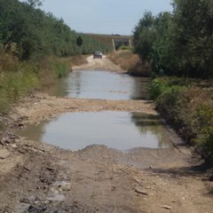 Pozza d'acqua in contrada Tittadegna