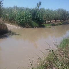 Pozza d'acqua in contrada Tittadegna