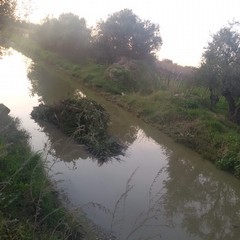 Pozza d'acqua in contrada Tittadegna