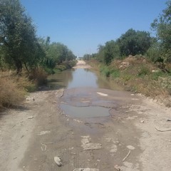 Pozza d'acqua in contrada Tittadegna