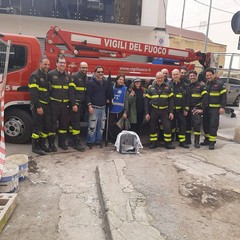 Gattini salvati grazie alla collaborazione tra Enpa Barletta e Vigili del Fuoco