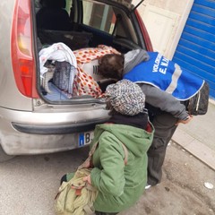 Gattini salvati grazie alla collaborazione tra Enpa Barletta e Vigili del Fuoco