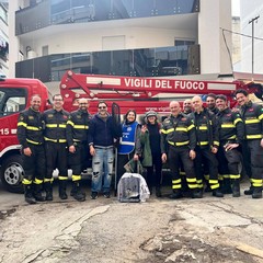 Gattini salvati grazie alla collaborazione tra Enpa Barletta e Vigili del Fuoco
