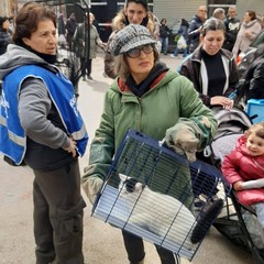 Gattini salvati grazie alla collaborazione tra Enpa Barletta e Vigili del Fuoco