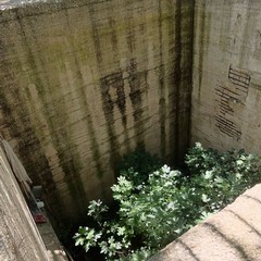 Vasconi ex distilleria