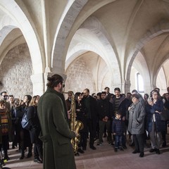 Anteprima d Archivio